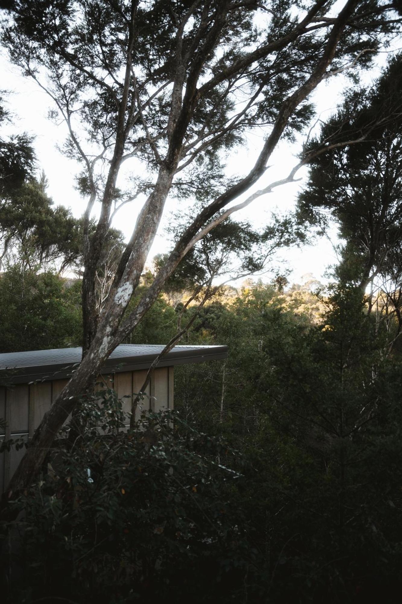 Treehouse Hideaway At Rekindle Tree Houses Opua Exteriér fotografie